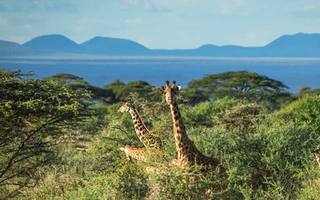 Klima Kenia Wetter Klimatabelle Tipps