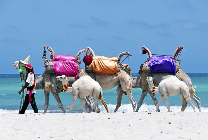 Öffentlicher Nahverkehr mit Nachwuchs, am Strand von Sidi Mahrez